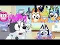 Bluey FULL Episodes Seasons 1 - 3 💙 | Featuring Dad Baby, Faceytalk and more! | 2 HOURS | Bluey