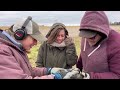 Forced to Leave! - Several OLD Coins Found Metal Detecting But Then We Had To Go!