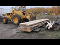 Giant maple log - Alaskan Mill