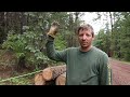 You'd THINK This Was ALASKA | DIY Log Extraction For Our Home Build