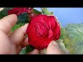 How to care and grow Rainey season flower असार महिनामा मेरो घरमा फुलेको फूलहरू देखाउँदै छु।