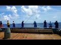 🇯🇵amazing.,,‼️super exciting skipjack fishing #mancingmania #fishing #tuna #fyp #viral