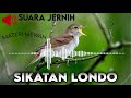 AUDIO MASTERING || SIKATAN LONDO 1 JAM BERJEDA ALAMI