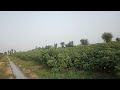 cheap Land for sale in Punjab sahiwal
