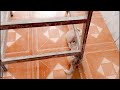 Cute Kittens Mufasa And Tiger Playing || Cite Kittens || Kittens Fight || Kittens Love