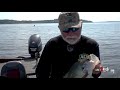 Catching GIANT CRAPPIE in Standing Timber with Jigs