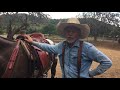 HOW SADDLING A MULE IS DIFFERENT FROM A HORSE