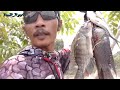 Gak sia sia!!! walaupun harus ngoyor menuju sanggongan//paser ikan//paser mania