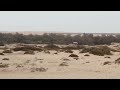 Swakopmund River Mouth, Dry River bed, Namib dunes backdrop