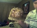 Baseball Hat Collection Part #1
