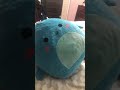 Talking with plushies
