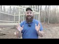 3 Easy Tips to Fix Hens Not Laying - WATCH THIS NOW!