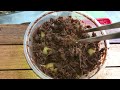 A very very JUICY TARANTULA FEEDING video !!! ~ Tarantula CANDY !!!