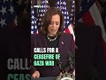 Kamala Harris Breaks Silence On Gaza War, Says This After Meeting With Netanyahu