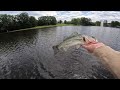 Fishing For GIANT BASS In Small Ponds! (Bank Fishing)