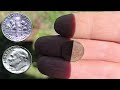 Metal detecting at my local East Tennessee park.   | Minelab Equinox 900.