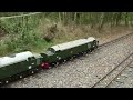 The Echills Wood Railway (Members Day) on 01/10/2014: