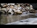 Waterfall flowing over rocks in forest. Relaxing flowing water White Noise for Sleep, Meditation