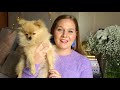 10 MORE things you should know before getting a Pomeranian Puppy | Katie KALANCHOE
