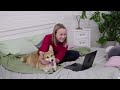 12 Hours of Relaxing Music for Anxious Dogs: Dog TV - Top Video Entertain to Keep Your Dogs Happy