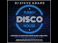 Funky Disco House March 2024