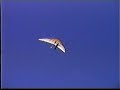 Mt. Borah Manilla NSW Australia flight November 1999
