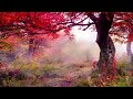 Relaxing Music With Nature to Calm The Mind, Stop Thinking 🌿 Music to Sleep, Soul and Body🧘‍♀️