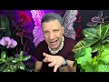 VIRGO August 2024 ♍️ This BIG REALISATION Will SET YOU FREE! & MAJOR NEWS Virgo August Tarot Reading