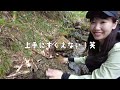 花と山の絶景！白馬栂池自然園ゆるトレッキング！