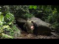 Full Video : 100-day Survival Challenge In The Rain Forest | Primitive Villa