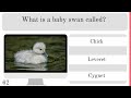 How Many Can You Answer? Animal World Quiz | No.2