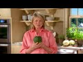 Martha Stewart Teaches You How To Cook Vegetables | Martha's Cooking School S1E3 