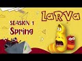 Larva 5.0 - Cartoons | Comics | Larva Cartoon - Fun Clips from Animation LARVA
