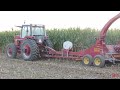 INTERNATIONAL 1086 Tractor Harvesting Corn