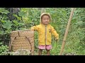 Chuong and his pregnant lover move to a new place - Thu and her daughter harvest cucumbers to sell