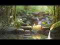 Bamboo Water Fountain & Chirping Birds 🌿 Heal the mind, sleep deeply 🌿 Anxiety and depression