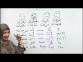STEP 9 - ADJECTIVES IN ARABIC- Free Step by Step Arabic Lessons, Feminine and Masculine.