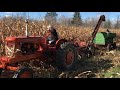 Fall 2021 Corn Harvest Using Vintage Equipment