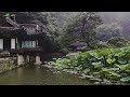 Deep Sleep In A Korea Palace Rain Ambience🌙 Fall Asleep To Falling Rain And Frog Sounds l 잠 잘 오는 빗소리