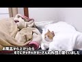 大好きな母が東京へ‥愛猫を隠し撮りしたら予想外すぎた