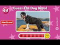 Guess The Dog Breed Challenge (Daily Quiz) | Easy, Medium, Hard Levels