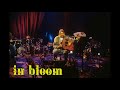Nirvana - In Bloom (MTV Unplugged)