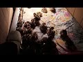 Brooding & Raising quail chicks
