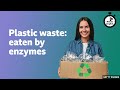 Plastic waste eaten by enzymes ⏲️ 6 Minute English