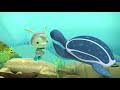 Octonauts - Humuhumus & The Electric Torpedo Rays | Cartoons for Kids | Underwater Sea Education