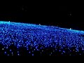 Blue lights [electronic theme]
