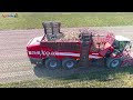 Grimme Rexor 6300 | Prima in Italia - First in Italy | Raccolta Barbabietole - Sugarbeets Harvest