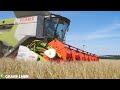 Gras dreschen mit 2x CLAAS Lexion 6800 / Die Agrarfilmer