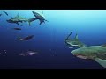 Enchanting Creatures of the Ocean 8K VIDEO ULTRA HD