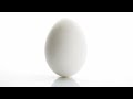 An egg | Ep. 1138